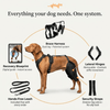 WAG WIZE DUAL-LEG KNEE BRACE HARNESS FOR DOGS - LARGE - BLACK