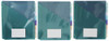 AMAZON BASICS TAB DIVIDERS FOR 3 RING BINDER TWO POCKET LETTER SIZE 24 COUNT New