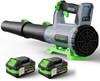 QIYORL LEAF BLOWER CORDLESS 2× 5.0AH BATTERIES CHARGER 21V - GRAY GREEN