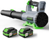 QIYORL LEAF BLOWER CORDLESS 2× 5.0AH BATTERIES CHARGER 21V - GRAY GREEN