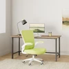 FelixKing Office Chair, Ergonomic Desk Chair Breathable Mesh Green