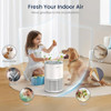 LUNINO AIR PURIFIER UP TO 1200FT, H13 TRUE HEPA, FRAGRANCE FUNCTION Gray/White