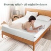 Zinus 12" Green Tea Memory Foam Mattress New Version Fiberglass Free California New