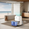WELLSLE ENERGY STAR 52 PINT DEHUMIDIFIER WITH DRAIN HOSE AND 1.59 GAL - WHITE