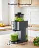 SILONN COLD PRESS JUICER MACHINES, HIGH JUICE YIELD SLOW MASTICATING JUICER