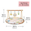 INGENUITY WONDERS INGENUITY WONDER & WOOD TOY ARCH & MAT - MULTI COLOR/BEIGE