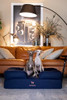 NOAH & PAW LARGE DOG BED 35X25X11 ORTHOPEDIC DOG BEDS DENIM SOFA COLLECTION New
