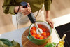 PHILIPS PROMIX VIVA COLLECTION HANDBLENDER 300W BLENDING POWER HR2627/91 - BLACK