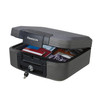 SENTRYSAFE CHW20201 FIRE CHESTS, SAFES - BLACK