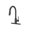 PFISTER STELLEN KITCHEN FAUCET WITH PULL DOWN SPRAYER, SINGLE HANDLE - BLACK