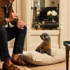47PLUX56457 PRESTON LANE BRODY WIDE STRIPE DOG BED YOUTH LARGE - CLAY