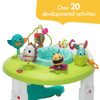 Tiny Love 4-in-1 Here I Grow Mobile Activity Center, Baby Walkers and Activity