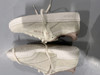 REEBOK CLUB C-SAND SCORCHED EARTH - SIZE: WOMEN 7.5 (AU/UK W5) - SAND BEIGE