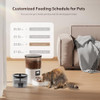 IMIPAW Automatic Cat Feeder and Water Fountain, Timed Dry Food Dispenser 3L