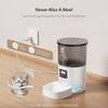 IMIPAW Automatic Cat Feeder and Water Fountain, Timed Dry Food Dispenser 3L