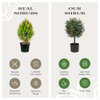 NATIONAL TREE COMPANY 24" PRE-LIT ARTIFICIAL TOPIARY NURSERY POT - GREEN
