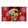 DISNEY LICENSED DISNEY MICKEY MOUSE HELLO FALL ORANGE BLACK MULTI MODERN GRAPHIC New