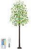REMON 7FT 170 LED Lighted Eucalyptus Tree - Deco Tree, 17 Branches, 340 Leaves