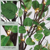 REMON 7FT 170 LED Lighted Eucalyptus Tree - Deco Tree, 17 Branches, 340 Leaves