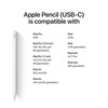 Apple Pencil (USB-C) -White