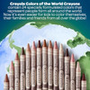 CRAYOLA COLORS BE401238 BULK CRAYON CLASSPACK (480CT), 24 COLORS - MULTICOLOR New