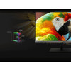 ASUS ProArt PA32UCX-PK- 32" 4K UHD (3840x2160) Professional Display Monitor