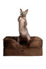 NOAH & PAW Small Dog Bed, 20x15x8 Inch, Cat Bed, Orthopedic Eggshell Memory Foam New