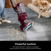 SHARK DETECT LIFT-AWAY CORDED UPRIGHT VACUUM WITH DETECT TECHNOLOGY - BURGUNDY