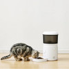AMAZON BASICS AUTOMATIC CAT FEEDER VOICE RECORDER SLOW FEED 4L CAPACITY - WHITE