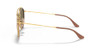 RAY-BAN RB3647N DOUBLE BRIDGE ROUND - Size 51X22 - GOLD/BROWN