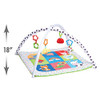 Early Learning Centre Blossom Farm Playmat & Arch