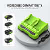 GREENWORKS 24V DUAL PORT BATTERY 017817 CAG817 - GREEN/BLACK