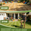 YACONA MANUAL LAWN AERATOR TOOL, GRASS AERATOR WITH PADDED T-HANDLE - BLACK