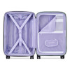DELSEY FLORENCE BY MILLS SPIN ME AWAY CARRY ON PLUS SPINNER SAGE GREEN