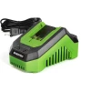 WORKPRO 20V LITHIUM SINGLE BAY BATTERY CHARGER WORKPRO 20V 4.0AH&2.0AH - GREEN