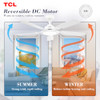 TCL Ceiling Fans with Lights, 52 Inch Ceiling Fan with Light, HFS2-60H0BADWD-00