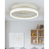 ORREN ELLIS 20" SMART FLUSH MOUNT CEILING FAN RGB & CCT DIMMABLE LED - WHITE