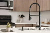 PEERLESS PRECEPT COMMERCIAL SINGLE-HANDLE PULL-DOWN SPRAYER FAUCET - MATTE BLACK New