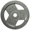 FITVIDS CAST IRON 1" STANDARD WEIGHT PLATES 45LBS - GRAY