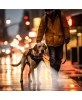 PILOT & SCOUT CLIP-BRITE LED SAFETY LIGHT FOR PETS