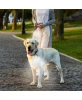 PILOT & SCOUT CLIP-BRITE LED SAFETY LIGHT FOR PETS