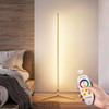 GENERIC 55" RGB METAL CORNER LAMP MINIMALIST LED FLOOR LAMP-1 LAMP - GOLD