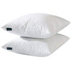 Basic HOME Hotel-Style 26x26 Goose Feather Down Euro Pillow Insert 2-Pack New