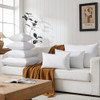 Basic HOME Hotel-Style 26x26 Goose Feather Down Euro Pillow Insert 2-Pack New