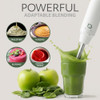 WILLOW Eco Series 5 Speed Immersion Blender Handheld, Powerful yet Quiet 500W