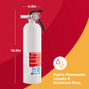 FIRST ALERT REC5 RECHARGEABLE FIRE EXTINGUISHER SODIUM BICARBONATE-White New