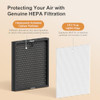 MORENTO 2 PACK GENUINE AIR PURIFIER REPLACEMENT FILTER FOR HY4866 AIR PURIFIER
