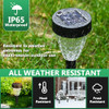 Ornnut 10 Pack Pathway Lights, IP65 Waterproof, Color Changing + Cool White