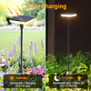 AINOSTONE Outdoor Solar Pathway Lights 31" Tall 34LM 4 Pack - Bright Warmlight