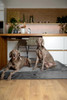 CL-VE-GRY NOAH & PAW Velvet Collection Giant Dog Bed Orthopedic 2XL Grey